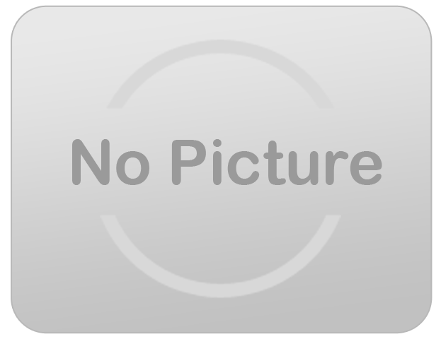 30 Yard Dumpster 30 Yard Dumpster